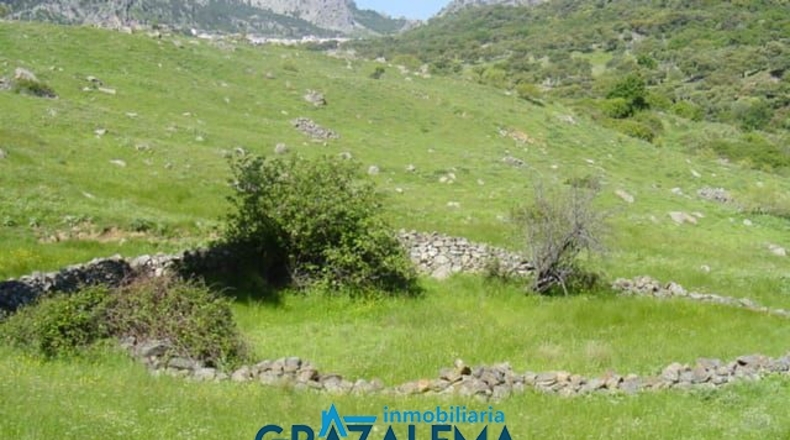 Cádiz - Jerez de la Frontera - 6m2