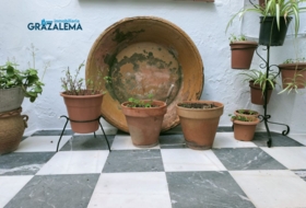 Foto 10