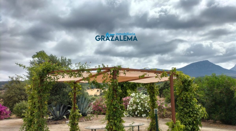 Cádiz - Villamartín - 70000m2