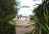 Finca rústica en venda a Prado del Rey ref.: TR48679 foto
