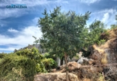 Parcel·la urbanitzable en venda a Grazalema ref.: TR57487 foto