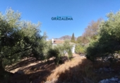 Xalet independent amb terreny en venda a Benaocaz ref.: TR58227 foto