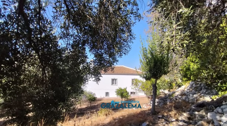 Cádiz - Barrio Nazarí - 11960m2