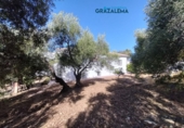 Xalet independent amb terreny en venda a Benaocaz ref.: TR58227 foto