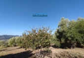 Xalet independent amb terreny en venda a Benaocaz ref.: TR58227 foto