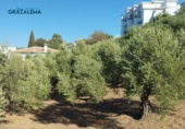 Xalet independent amb terreny en venda a Benaocaz ref.: TR58227 foto