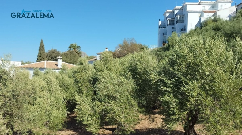 Cádiz - Barrio Nazarí - 11960m2