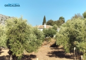 Xalet independent amb terreny en venda a Benaocaz ref.: TR58227 foto