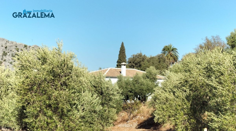 Cádiz - Barrio Nazarí - 11960m2