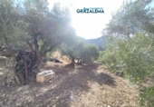 Xalet independent amb terreny en venda a Benaocaz ref.: TR58227 foto