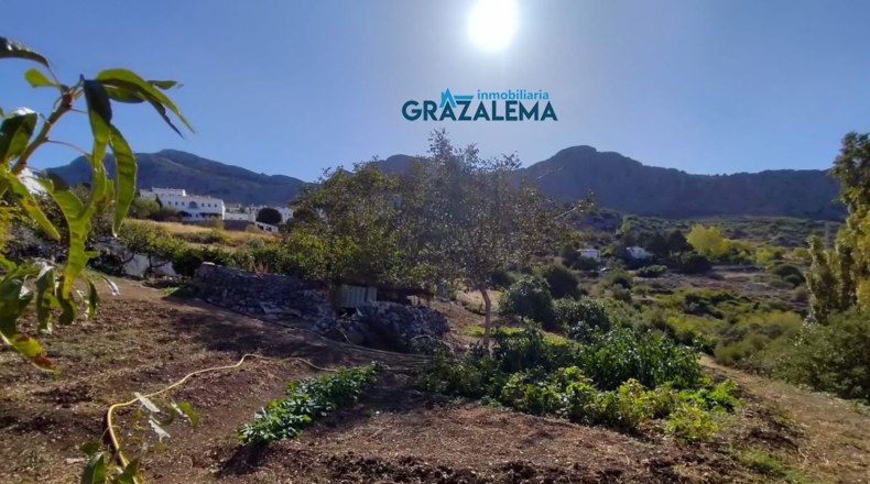 Cádiz - Barrio Nazarí - 11960m2