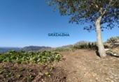Xalet independent amb terreny en venda a Benaocaz ref.: TR58227 foto