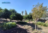 Xalet independent amb terreny en venda a Benaocaz ref.: TR58227 foto
