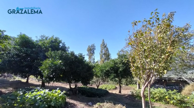 Cádiz - Barrio Nazarí - 11960m2