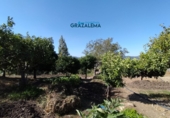 Xalet independent amb terreny en venda a Benaocaz ref.: TR58227 foto