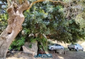 Finca rústica en venda a El Gastor ref.: TR199151 foto