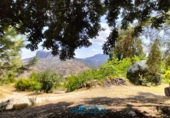 Finca rústica en venda a El Gastor ref.: TR199151 foto