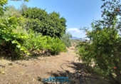 Finca rústica en venda a El Gastor ref.: TR199151 foto