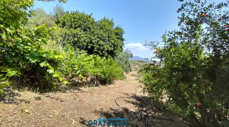 Cádiz - El Gastor - 3m2