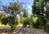 Finca rústica en venda a El Gastor ref.: TR199151 foto