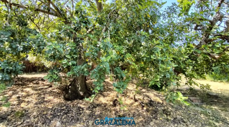 Cádiz - El Gastor - 3m2