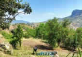 Finca rústica en venda a El Gastor ref.: TR199151 foto