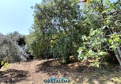 Finca rústica en venda a El Gastor ref.: TR199151 foto