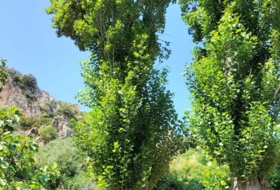 Foto 9