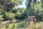 Finca rústica en venda a El Gastor ref.: TR199151 foto