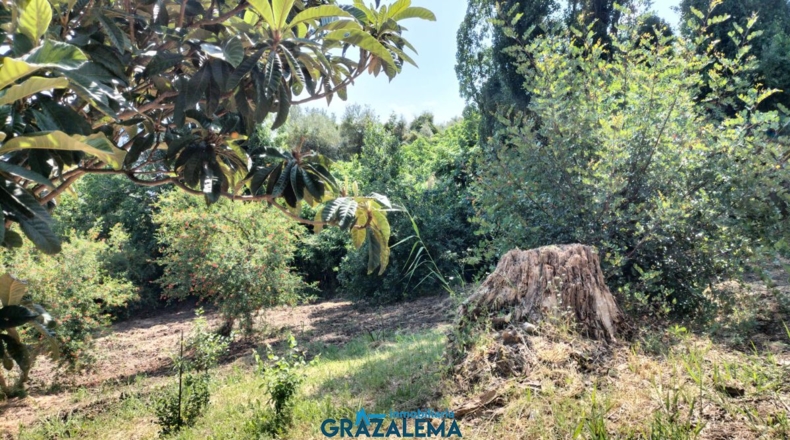Cádiz - El Gastor - 3m2