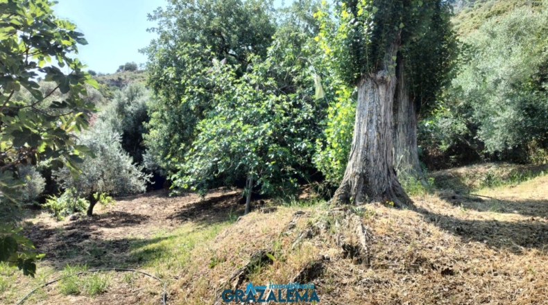 Cádiz - El Gastor - 3m2