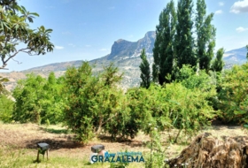 Foto 15