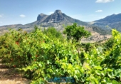 Finca rústica en venda a El Gastor ref.: TR199151 foto