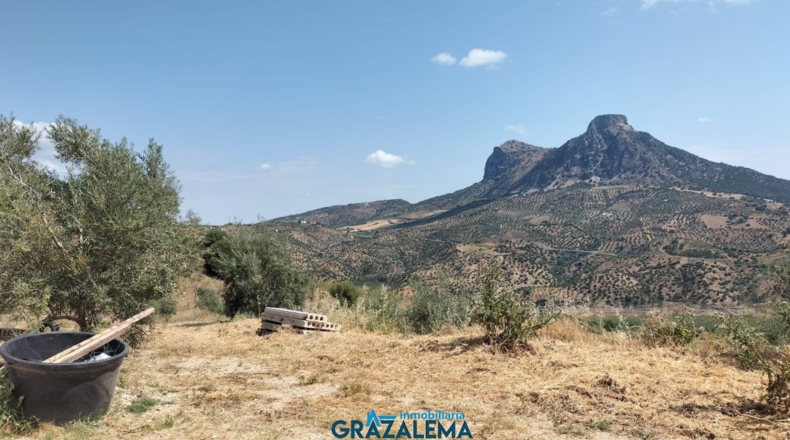 Cádiz - El Gastor - 3m2