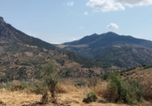 Finca rústica en venda a El Gastor ref.: TR199151 foto