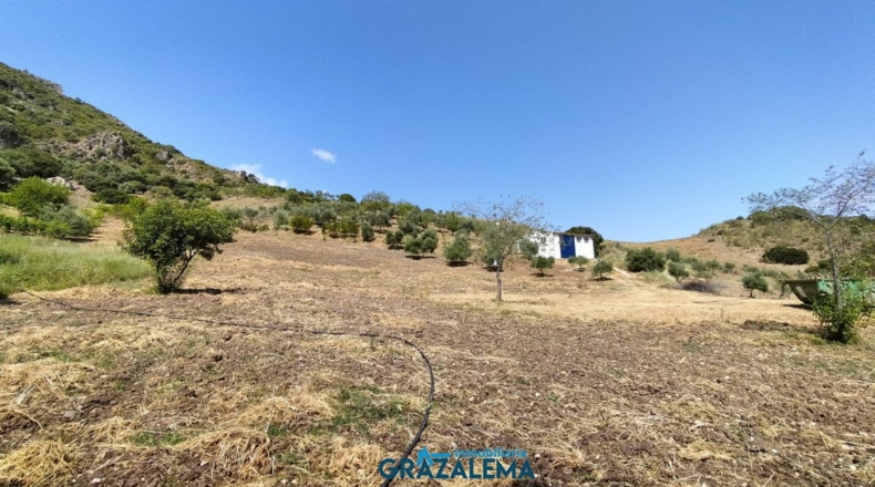 Cádiz - El Gastor - 3m2