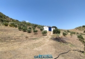 Finca rústica en venda a El Gastor ref.: TR199151 foto