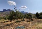Finca rústica en venda a El Gastor ref.: TR199151 foto