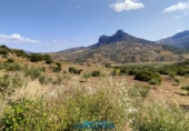 Finca rústica en venda a El Gastor ref.: TR199151 foto