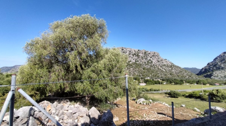 Cádiz - Sanlúcar de Barrameda - 25000m2