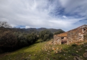 Finca rústica en venda a Grazalema ref.: TR199143 foto