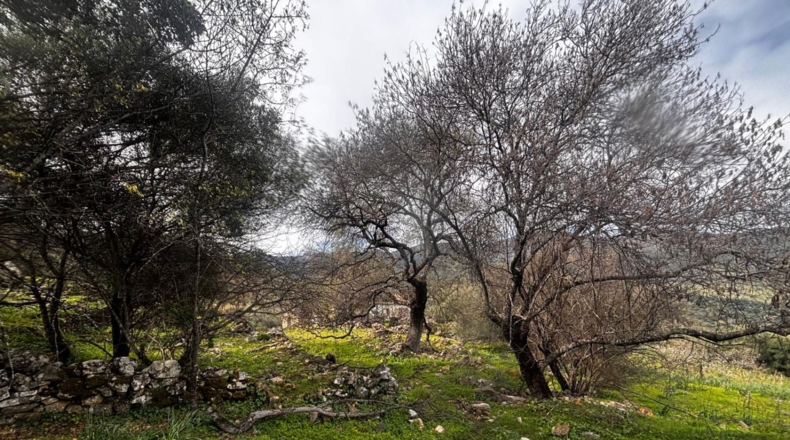Cádiz - Gaidovar - 11m2
