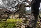 Finca rústica en venda a Grazalema ref.: TR199143 foto