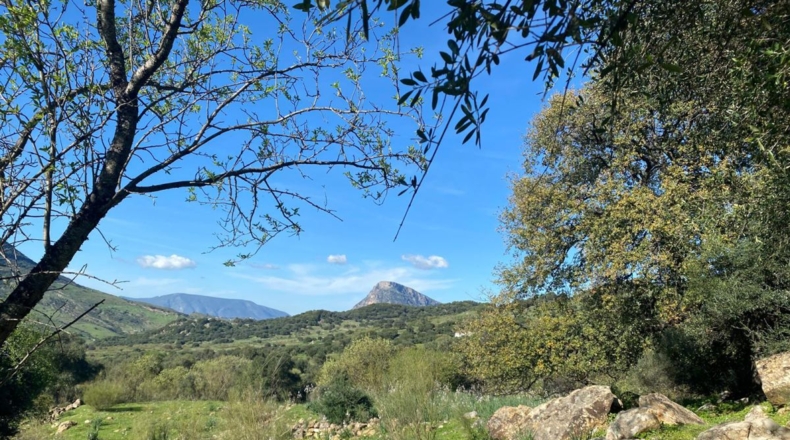 Cádiz - Gaidovar - 11m2