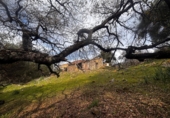 Finca rústica en venda a Grazalema ref.: TR199143 foto