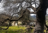 Finca rústica en venda a Grazalema ref.: TR199143 foto