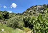 Sòl urbà en venda a Grazalema ref.: TR235215 foto