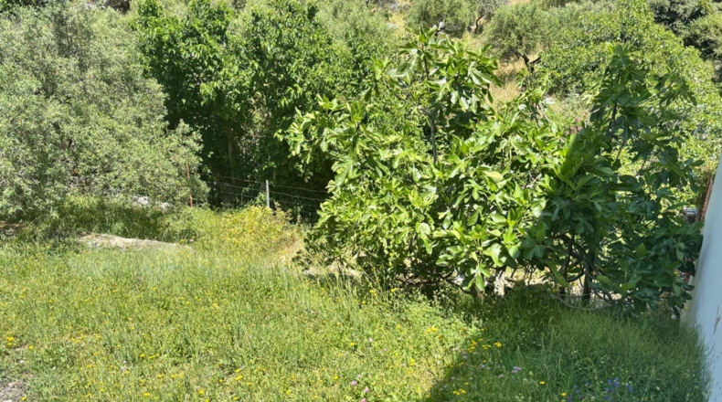 Cádiz - Grazalema - 182m2