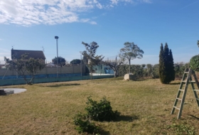Foto 11