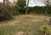Finca rústica en venta en Buenavista ref: TR17411 foto
